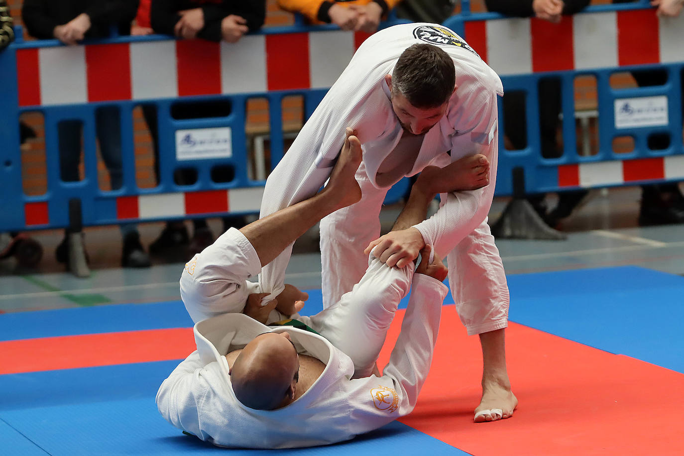 Open de Castilla y León de Jiu-Jitsu Brasileño