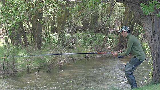 Denuncian la mortandad de truchas en el Pisuerga por culpa de una piscifactoría leonesa