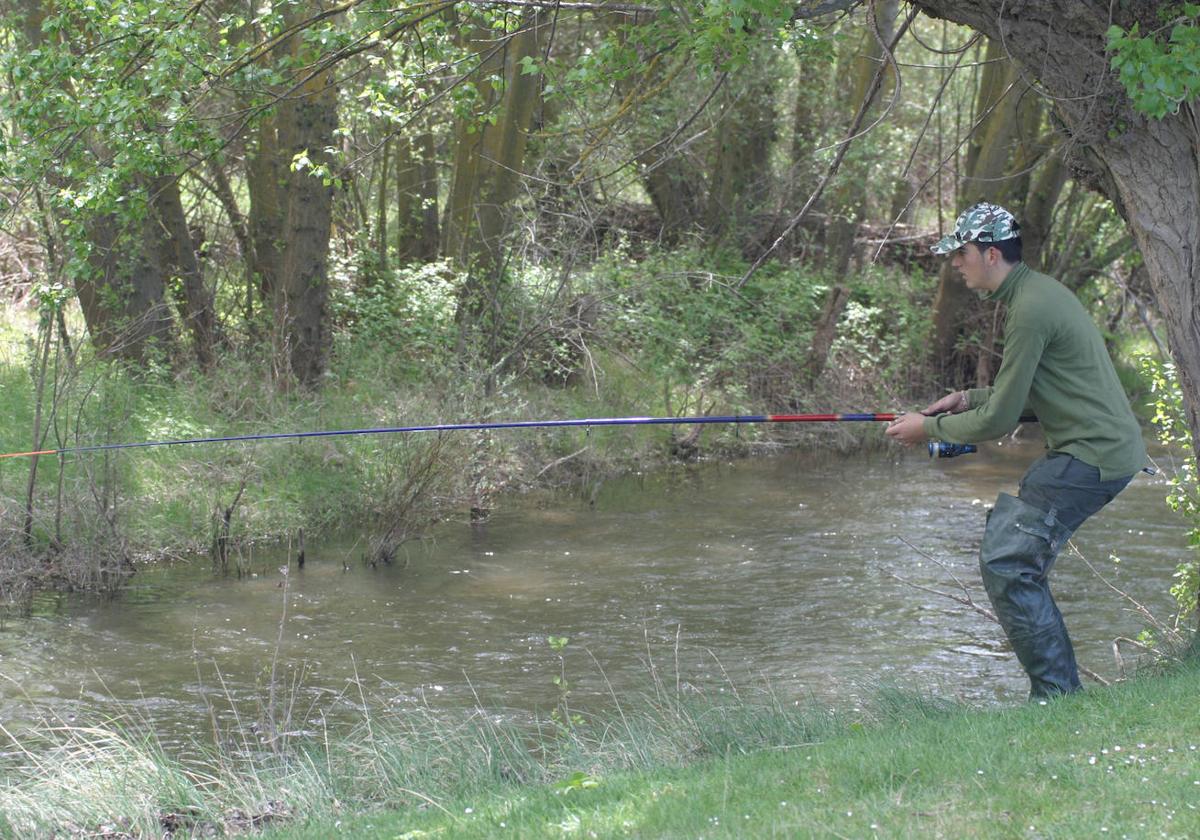 Pescador en el río Pisuerga, al norte de la provincia de Palencia.