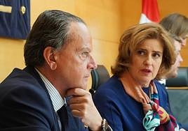 El presidente del Consejo de Cuentas, Mario Amilivia