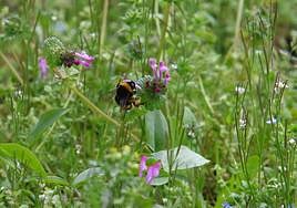 El tiempo en la provincia de León.