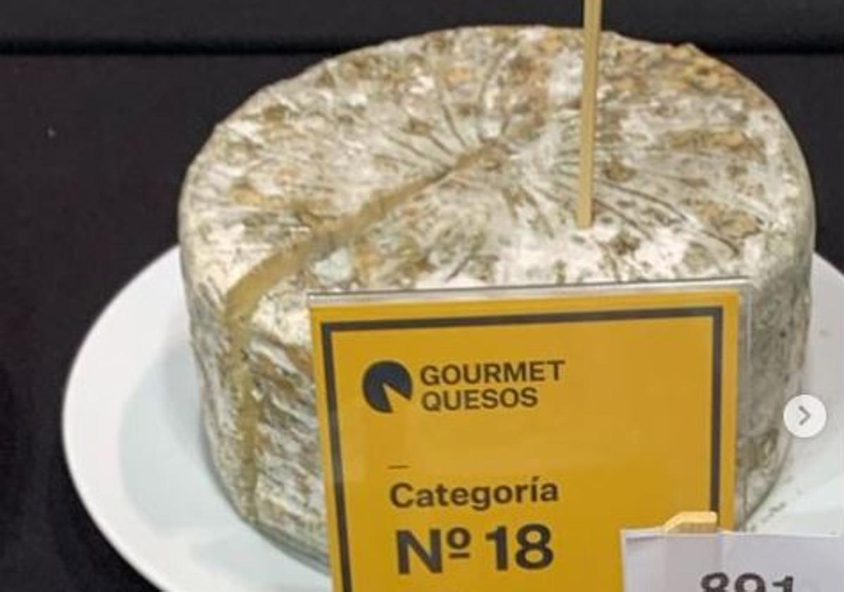 Queso enmohecido que presentaron los responsables de la marca Queso de Valdeón.