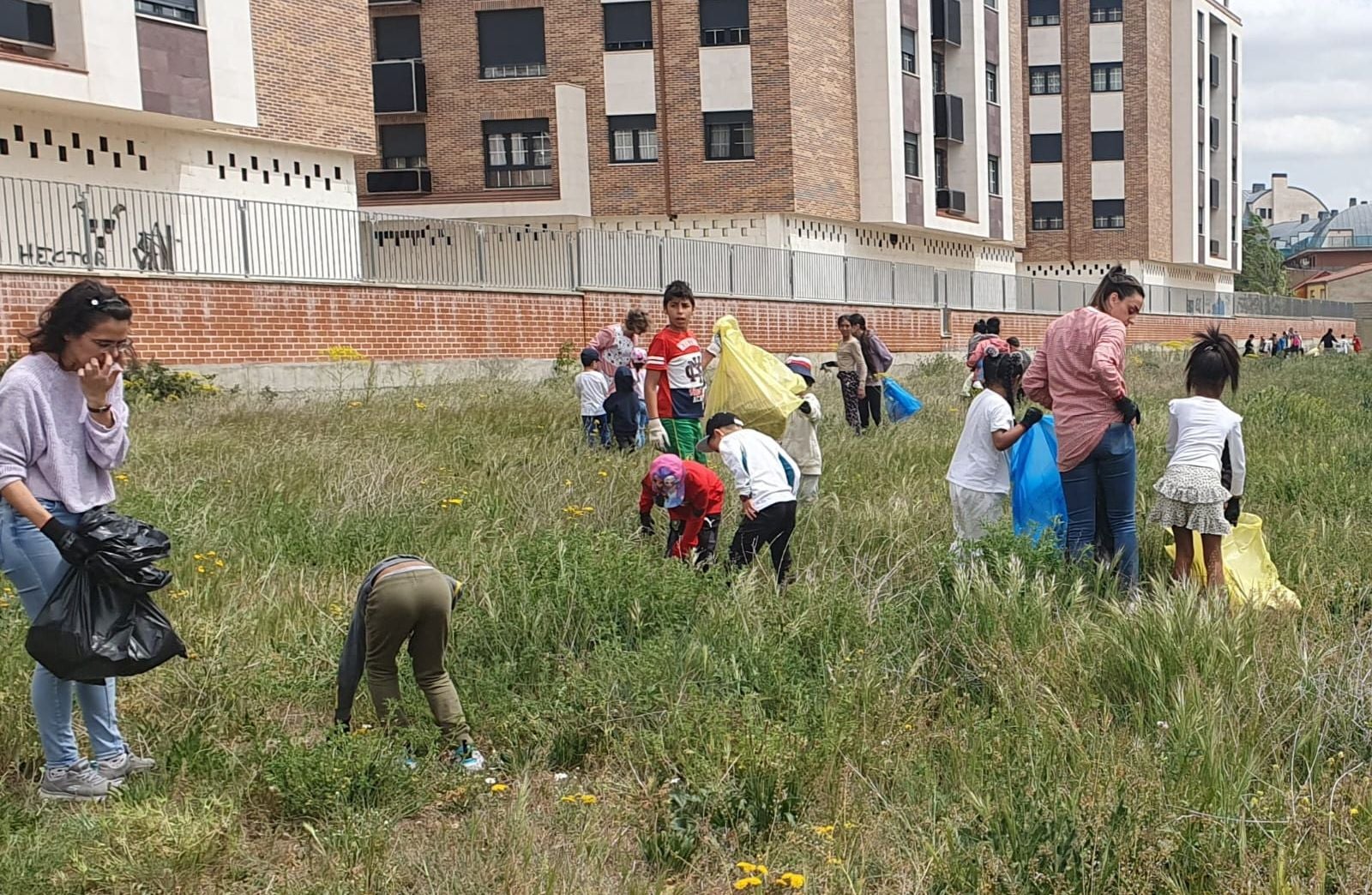 &#039;Basuraleza provincial intercentros&#039;