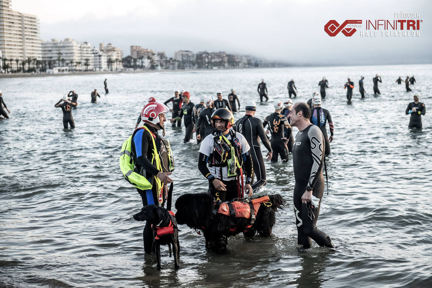 Pedigrí leonés para el mar