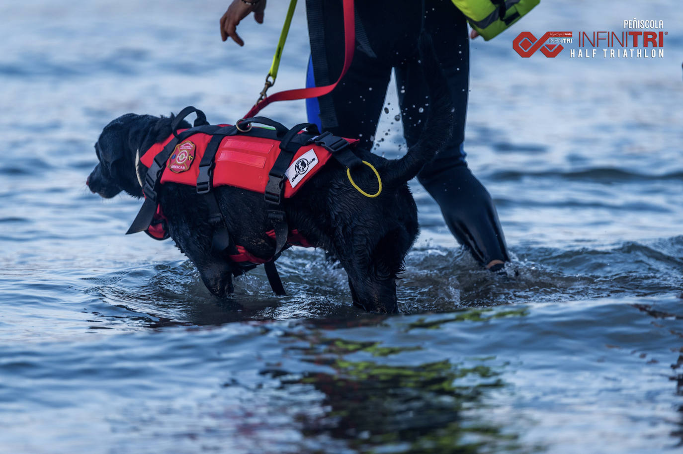 Pedigrí leonés para el mar 