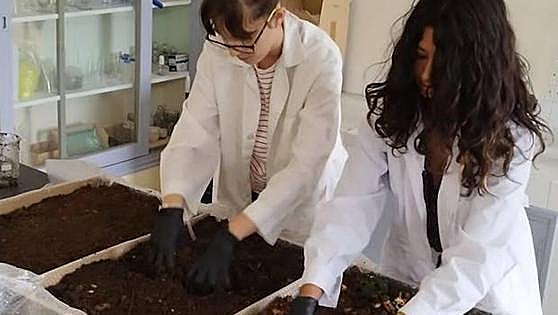 La excelencia de Investigación e Innovación tiene el sello de Ponferrada