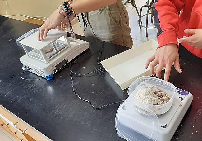 Pesaje de las larvas.