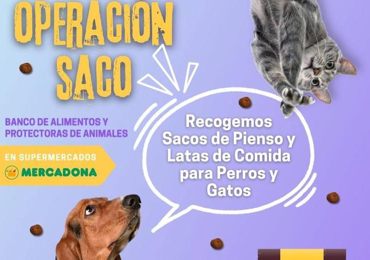 León busca voluntarios para celebrar una nueva edición de la Operación Saco