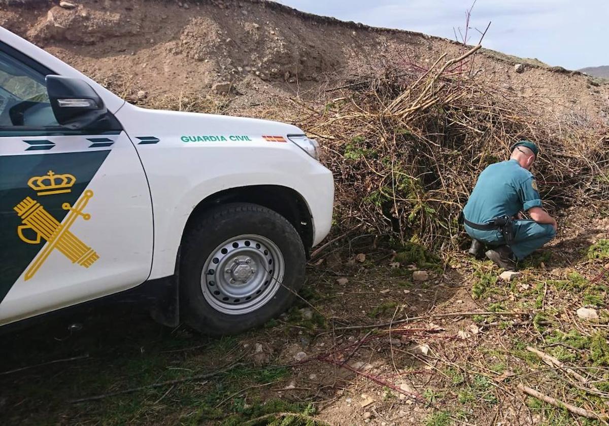 Lugar en el que apareció la mastina.