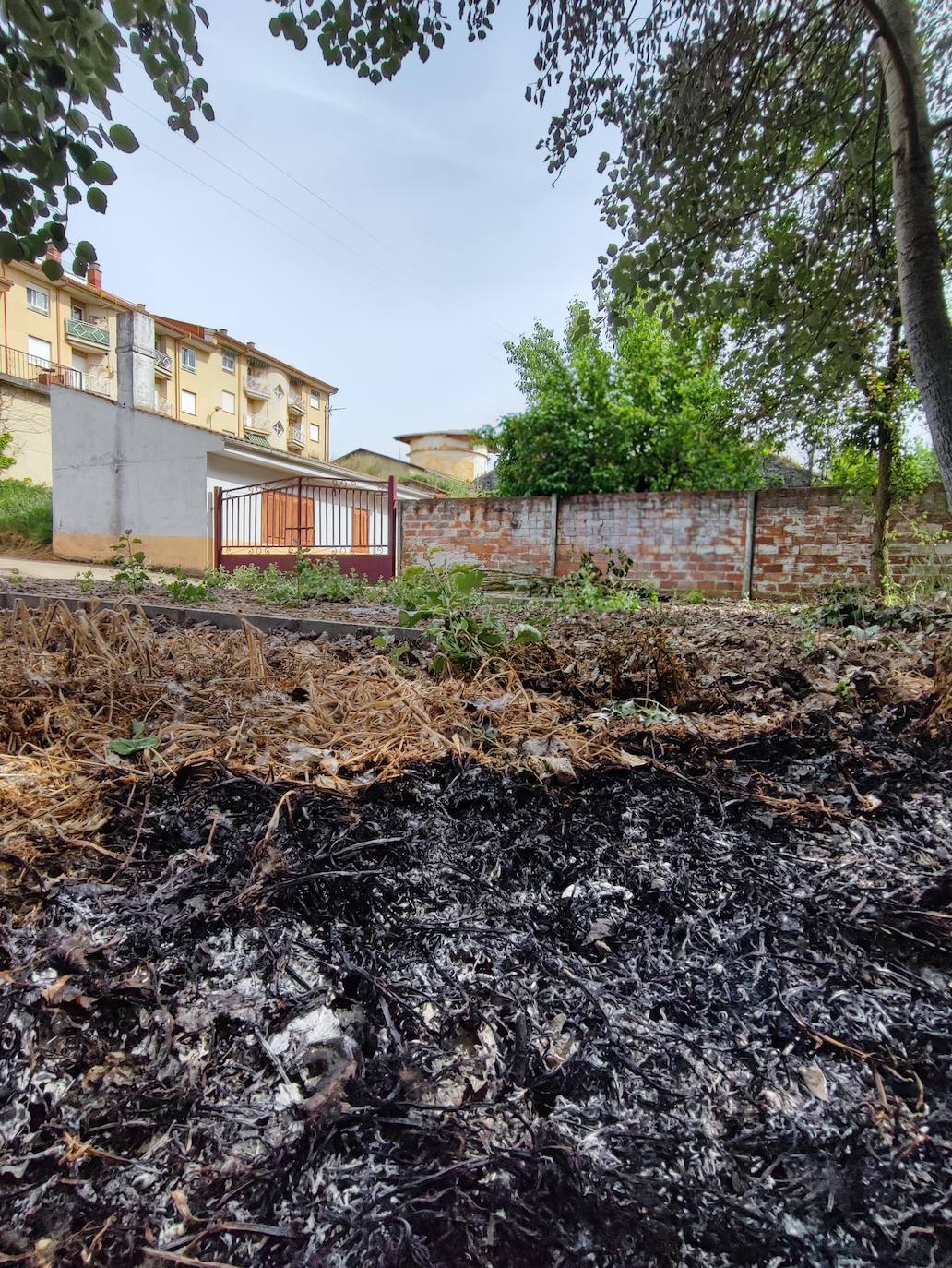 Incendio en Valencia de Don Juan