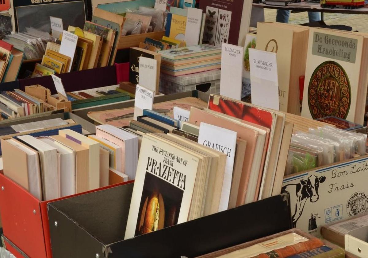 Villablino organiza este fin de semana su Feria del Libro en el Pozo María.