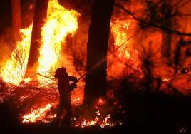 Declaración de riesgo medio de incendios en la comunidad.