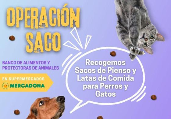 Cartel de la edición.