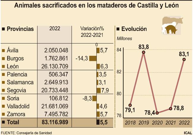 Animales sacrificados en Castilla y León en 2022.