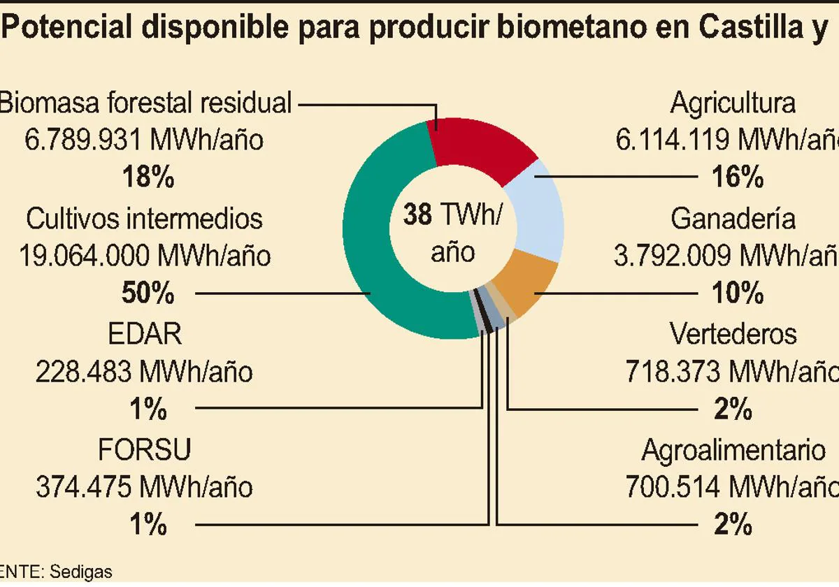 Gráfico de potencial disponible para producir biometano en CyL.