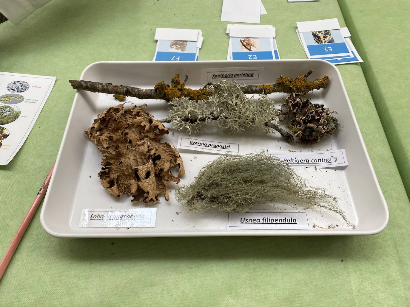 Expociencia en Ponferrada