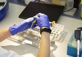 Personal sanitario analiza una muestra.