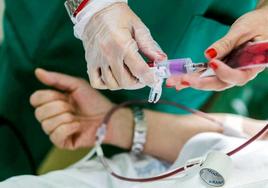 La Hermandad de Donantes de Sangre de León ha anunciado este jueves los actos de donación programados para la próxima semana, en este caso, del 28 de abril al 6 de mayo.