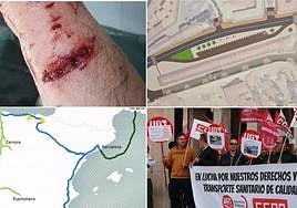 Las noticias del día en León.