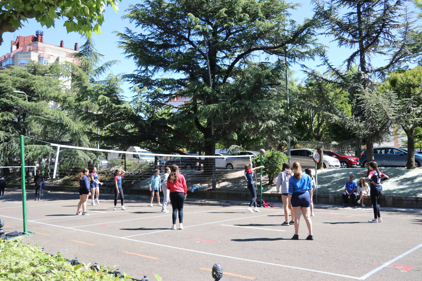 Municipalia vuelve a ser protagonista