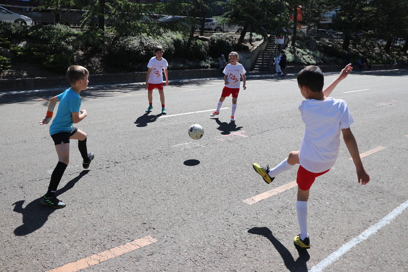 Municipalia vuelve a ser protagonista