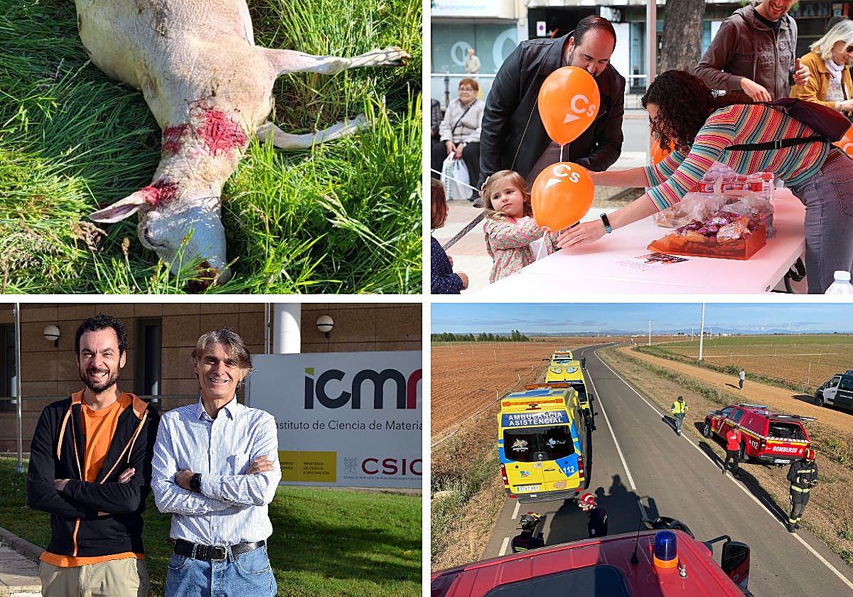 Las imágenes del día en la provincia.