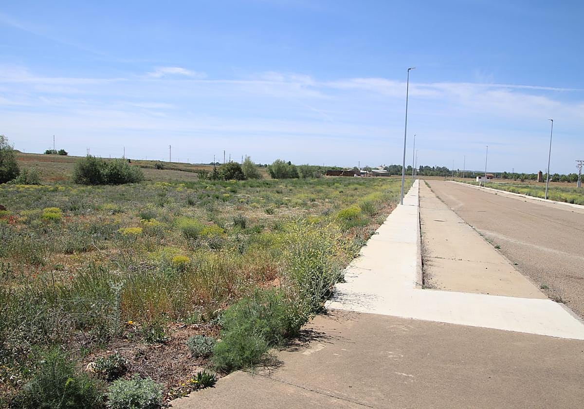 Zona donde está proyectada la planta de biogás.