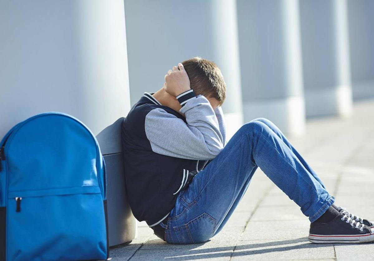 Los casos de bullying han aumentado en el último curso en León.