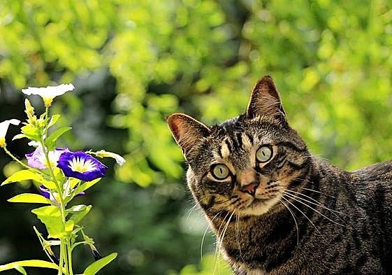 León se despide de los 20 grados este jueves.