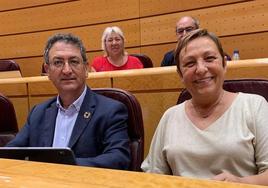 Los senadores leoneses del PSOE, Salvador Vidal y Carmen Morán.