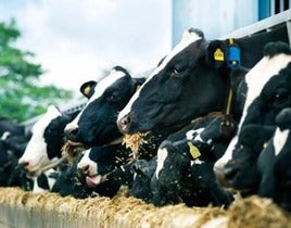 ntre los ponentes estará presente MSD Animal Health España que desplegará su gama de productos y soluciones tecnológicas.