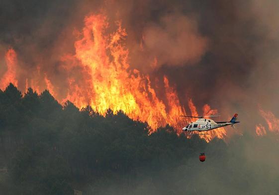 Medios aéreos y de tierra de Castilla y León colaboran en la extinción del incendio forestal declarado en Las Hurdes y la Sierra de Gata(Cáceres), muy cerca de la provincia de Salamanca