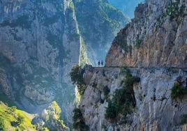 Picos de Europa ofrece imágenes únicas a sus visitantes.