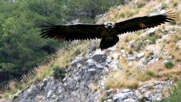 Los parques naturales mejor valorados