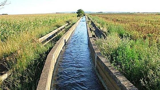 Los regantes del Esla piden la modernización del regadío ante las «mentiras» de la CHD