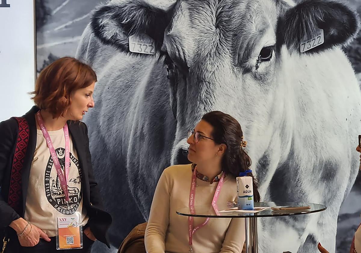 XVV Congreso Internacional de Medicina Bovina en León