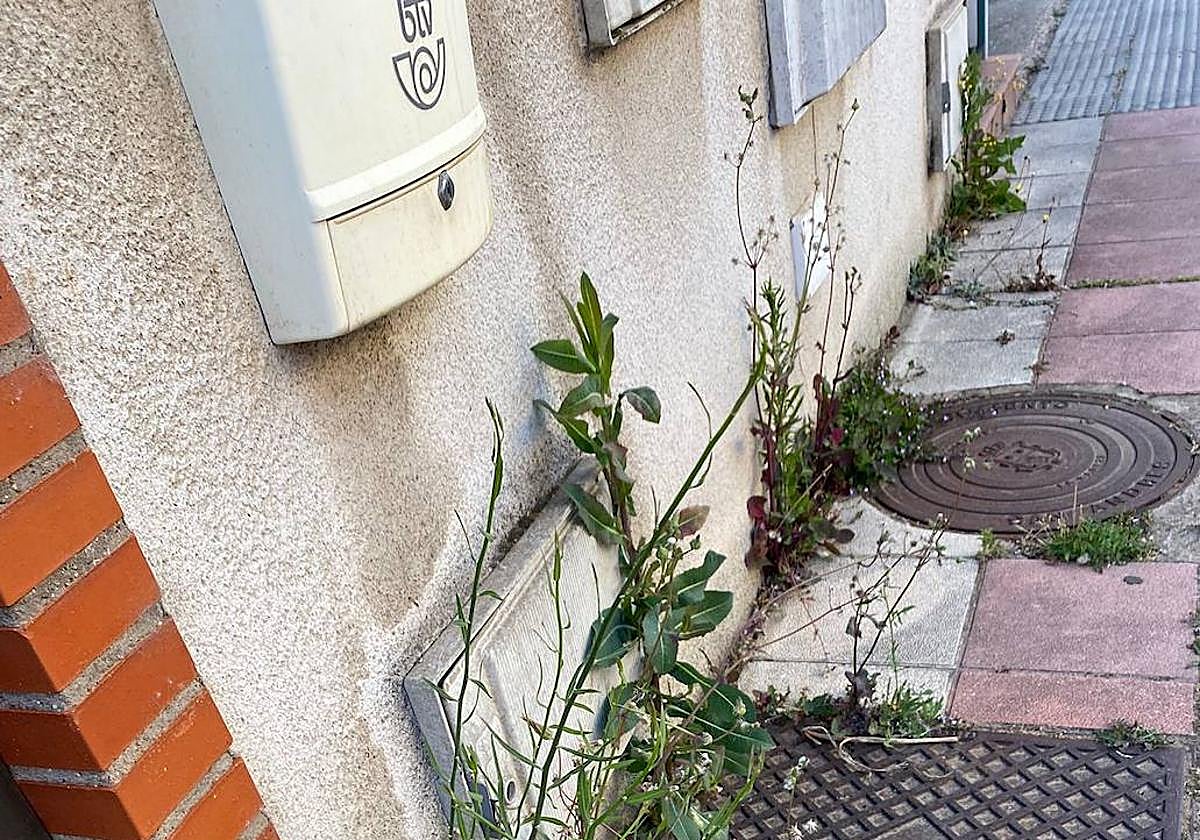 VOX San Andrés promete solucionar la limpieza de las calles.