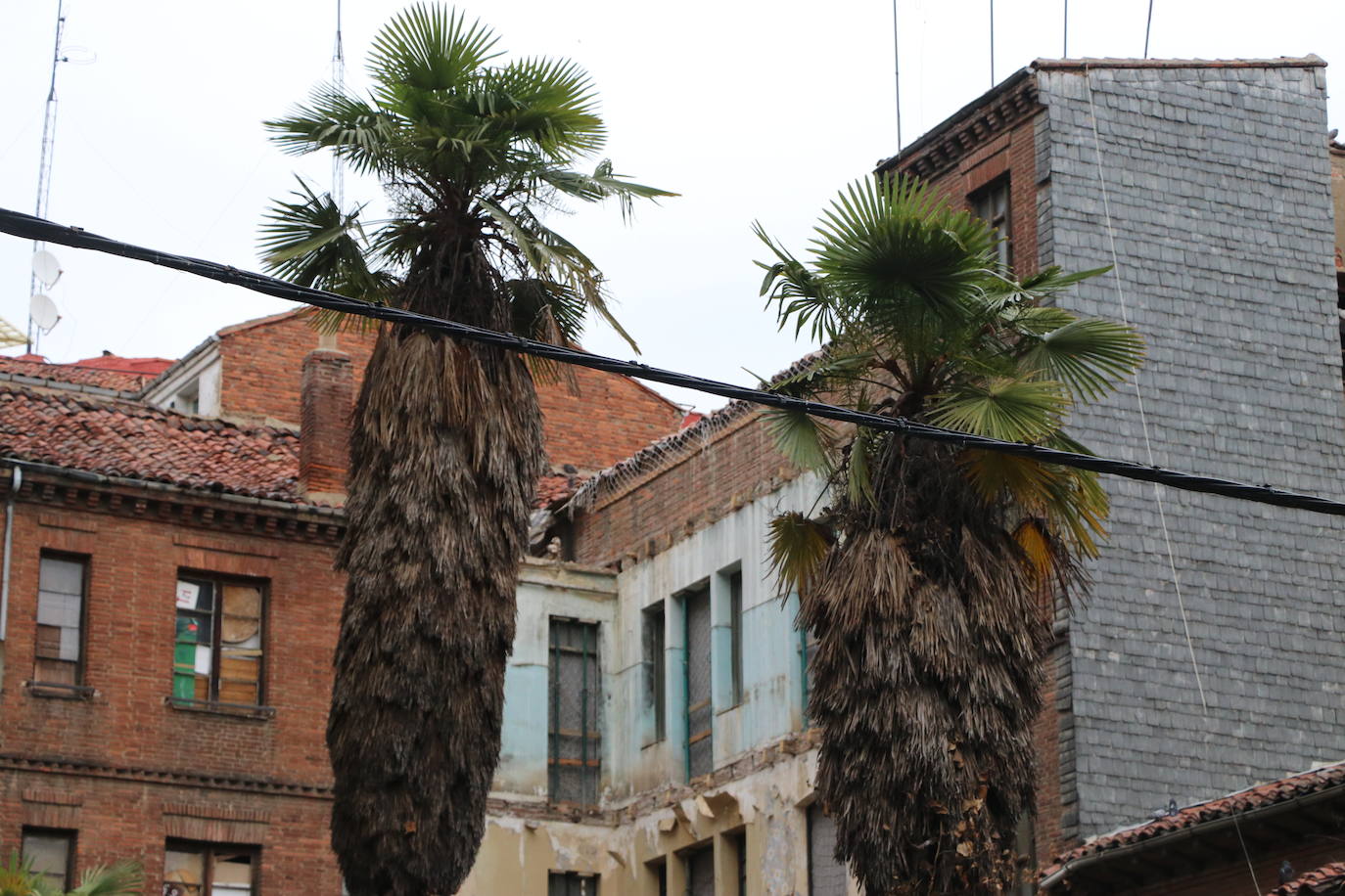 Obras en el palacete de San Agustín