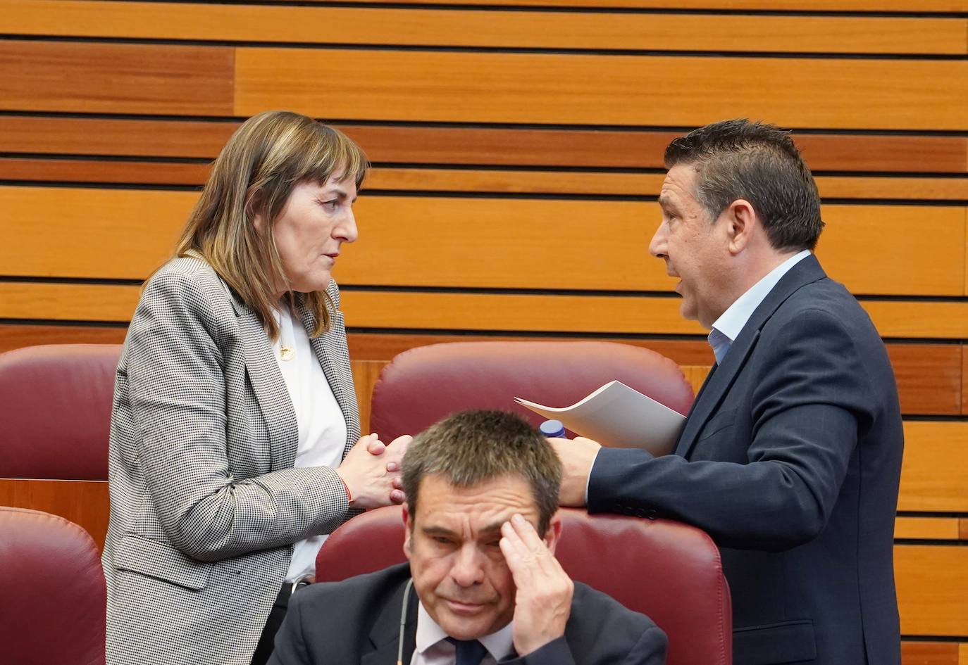 Pleno de las Cortes de Castilla y León