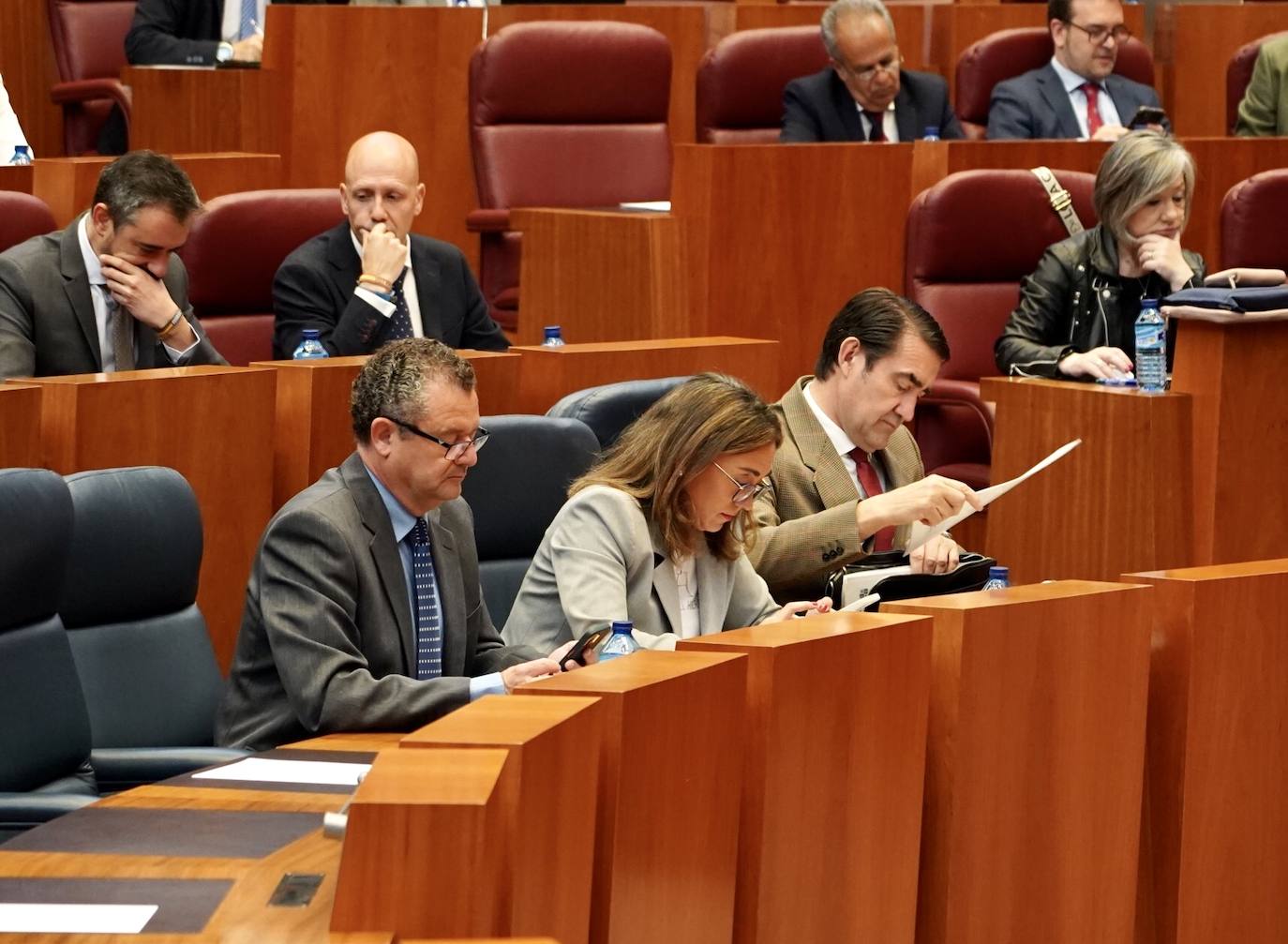 Pleno de las Cortes de Castilla y León