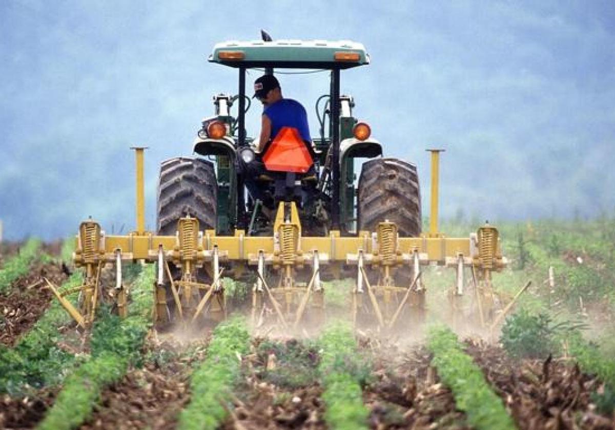 La Junta destina 10,6 millones para las ayudas para los seguros agrarios combinados