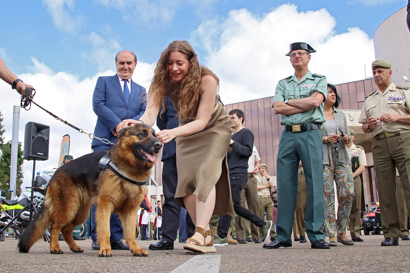 Celebración del Día de las Fuerzas Armadas