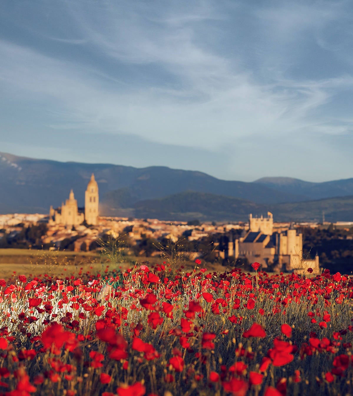 El campo de Castilla y León se tiñe de rojo