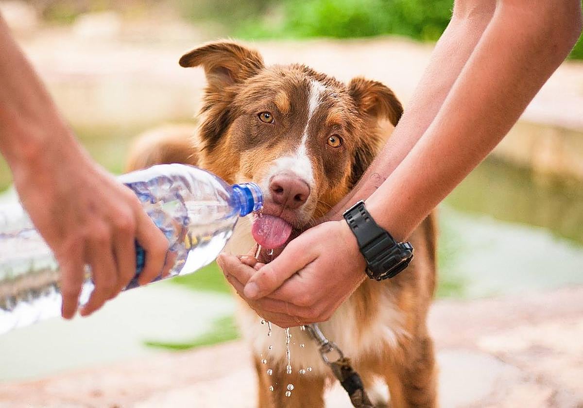 El termómetro sigue subiendo en León este martes.