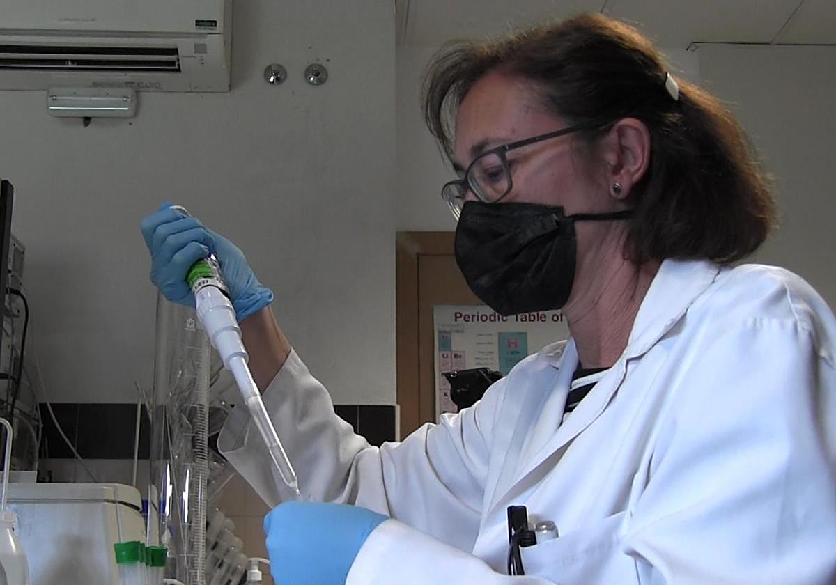 Sanidad convoca el programa anual de intensificación de la actividad investigadora con un presupuesto de 420.000 euros