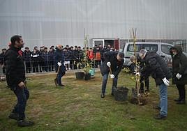 Plantación de árboles delante del Pabellón de Ventas Oeste.