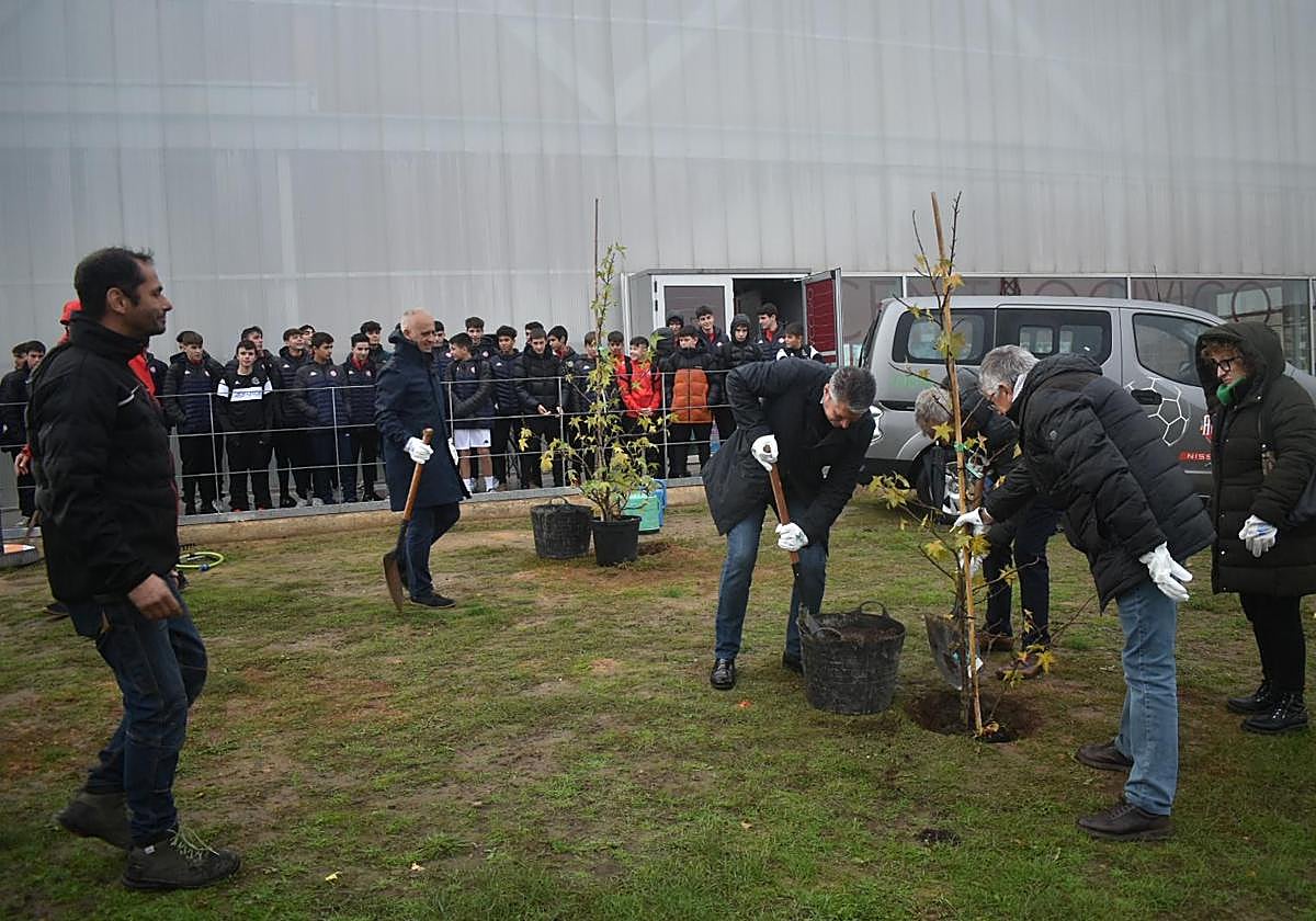 Plantación de árboles delante del Pabellón de Ventas Oeste.