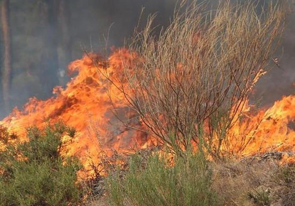 Imagen de archivo de un incendio forestal.