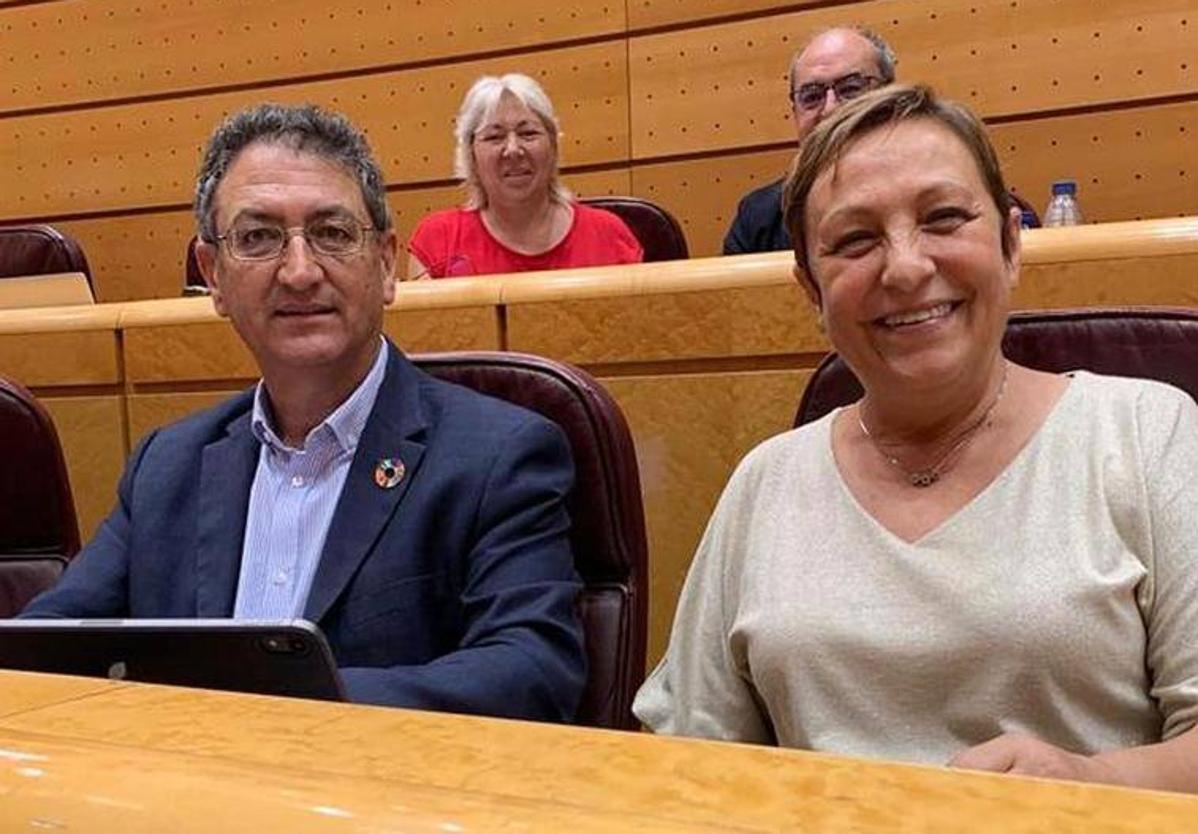 La senadora berciana Carmen Morán, junto al también senador socialista Salvador Vidal.