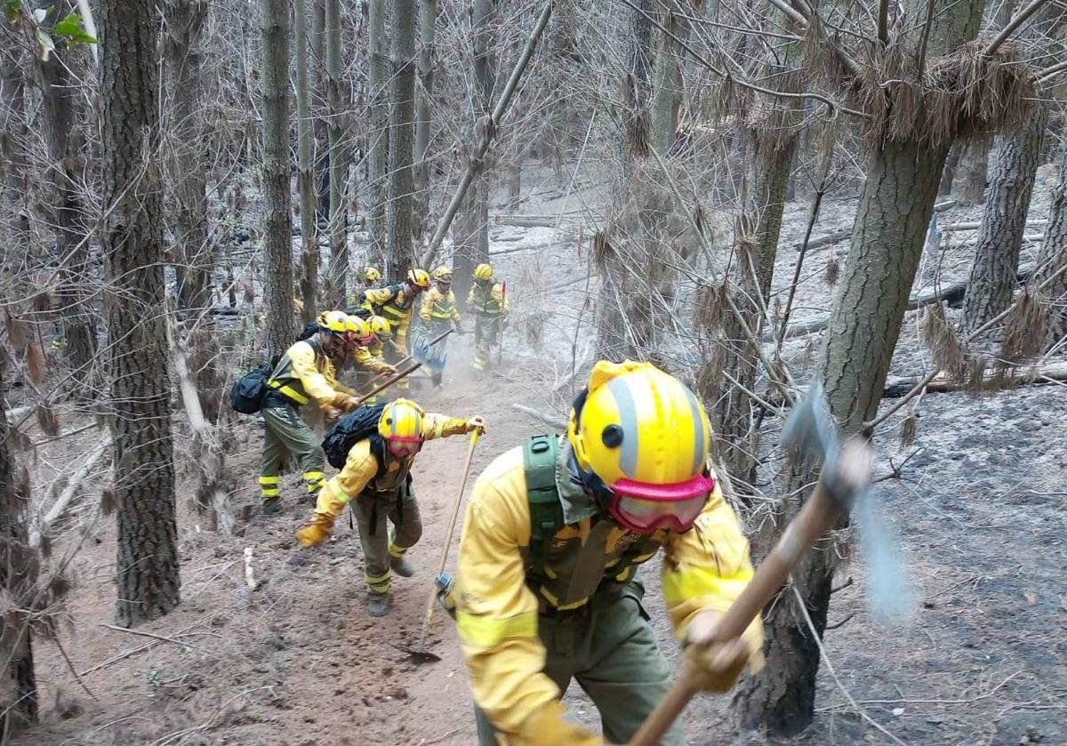 Esta es la segunda misión internacional que realizan las Brigadas de Refuerzo en Incendios Forestales (BRIF) dependientes del Miteco